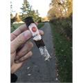 Rocky Patel Sun Grown Maduro Robusto 5  * 50
