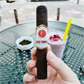 Rocky Patel Sun Grown Maduro Robusto 5  * 50