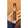 Rocky Patel Sun Grown Maduro Toro 6 1/2 * 52