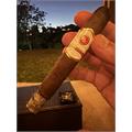 Rocky Patel Sun Grown Maduro Toro 6 1/2 * 52