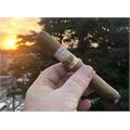 New World Connecticut Toro 6  * 52