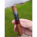 Chillin  Moose Robusto 5  * 50