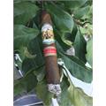 Enclave Churchill 7  * 52