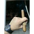 Leaf by Oscar Sumatra Toro 6  * 52
