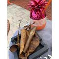 Leaf by Oscar Sumatra Sixty 6  * 60