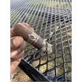 Quesada 40th Anniversary Toro Real 6  * 65
