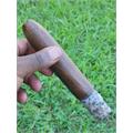 JFR Lunatic Maduro Belicoso 8  * 80