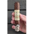 CAO Pilon Robusto 5  * 52