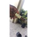 CAO Pilon Robusto 5  * 52