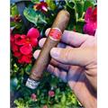 Curivari Seleccion Privada Diplomaticos 6 1/4 * 54