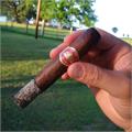 Crowned Heads Four Kicks Sublime 6  * 54