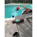Crowned Heads La Imperiosa Dukes 5 1/2 * 54