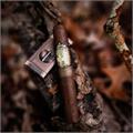 Esteban Carreras Chupacabra Robusto Grande 5 1/2 * 54