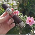 Quesada Oktoberfest Uber 6   * 65