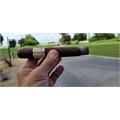 Asylum Insidious Maduro Gordo 7  * 64