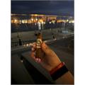 Arturo Fuente Don Carlos Eye of the Shark 5 3/4 * 52