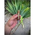 Arturo Fuente Don Carlos Personal Reserve 5  * 50