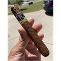 Aladino Corona 5  * 44