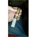 Aladino Robusto 5  * 50