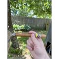Aladino Churchill 7  * 48