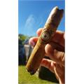 Perdomo Habano Connecticut Epicure 6  * 54