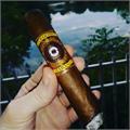 Perdomo Habano Sungrown Robusto 5  * 54