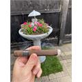Java Mint Robusto 5 1/2 * 50