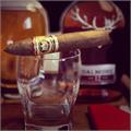 Arturo Fuente Don Carlos Belicoso 5 3/8 * 52