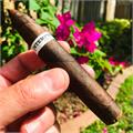 RoMa Craft Intemperance BA XXI Envy 5  * 50