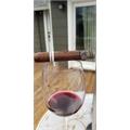 RoMa Craft Intemperance BA XXI Ambition 5 1/2 * 54