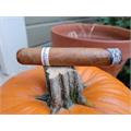 RoMa Craft Intemperance EC XVIII Brotherly Kindness 5  * 56