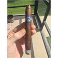 Warped El Oso Papa 6  * 48