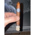 Warped El Oso Papa 6  * 48