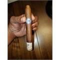 Warped El Oso Papa 6  * 48