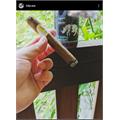 Davidoff Winston Churchill Petit Corona 4 1/2 * 41