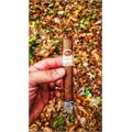 Padron 50th Anniversary Natural 6 1/2 * 52