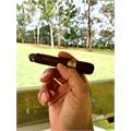 Sobremesa Solita Robusto Largo 5 1/4 * 52