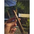 Fratello Bianco II 6  * 50
