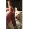 Flor de las Antillas Toro Tubo 6  * 50