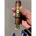 Perdomo 20th Anniversary Sun Grown R556 5  * 56