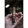 Perdomo 20th Anniversary Maduro R556 5  * 56