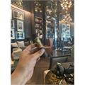 Perdomo 20th Anniversary Maduro R556 5  * 56