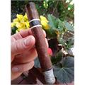 RoMa Craft CroMagnon Anthropology 5 3/4 * 46