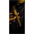 Rocky Patel Fifty Toro  6 1/2 * 52