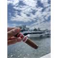 HVC Cerro Natural Robusto 5  * 50