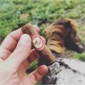 AJ Fernandez Last Call Habano Geniales 4 1/2 * 48