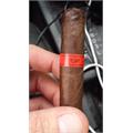 Tatuaje Skinny Monsters 2016, Sampler of 10