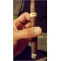 Tatuaje Skinny Monsters 2016, Sampler of 10