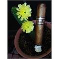 Kristoff Medium Bold Spice 4-Cigar Sampler