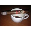 AJ Fernandez Bellas Artes Short Churchill 6  * 48